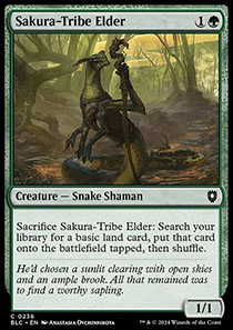 Sakura-Tribe Elder