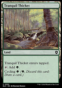 Tranquil Thicket