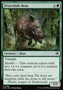 Festerhide Boar