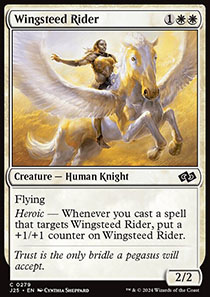 Wingsteed Rider