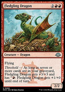 Fledgling Dragon