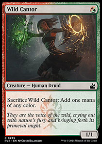 Wild Cantor